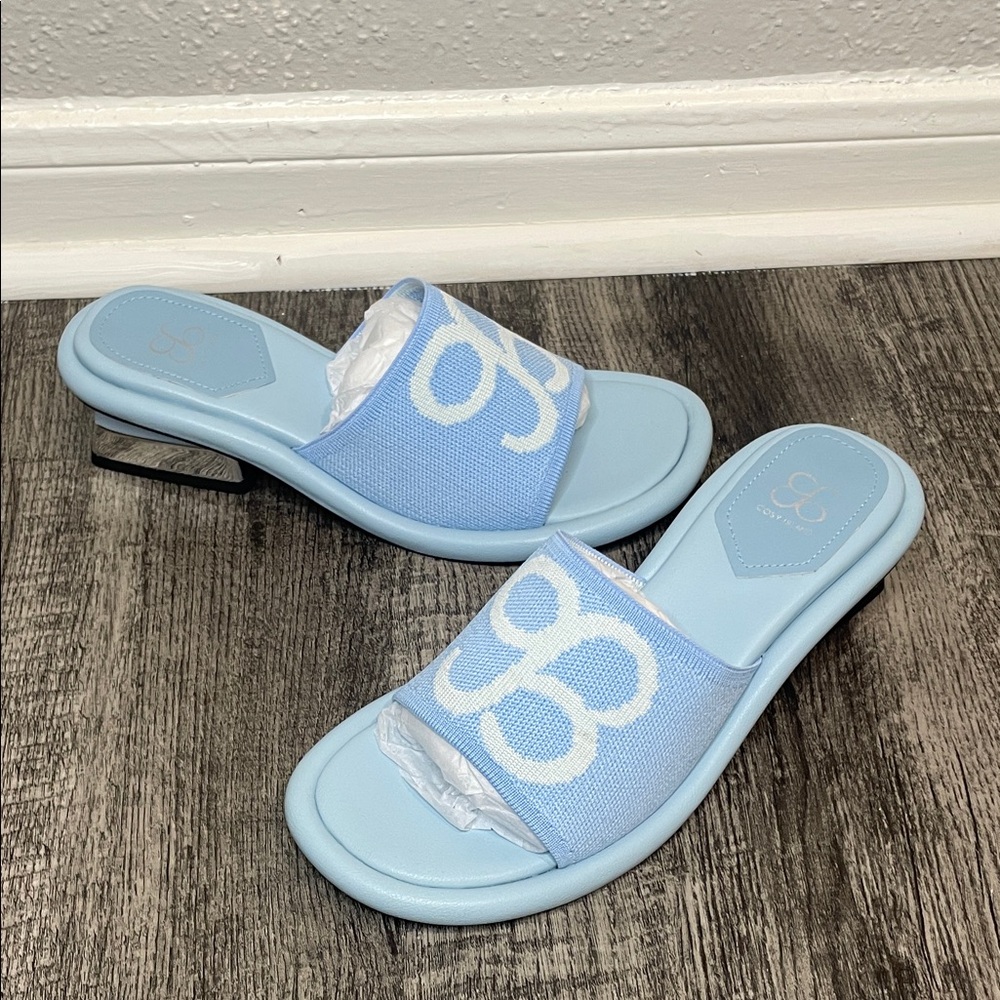 Elegant Light Blue Slide Sandals